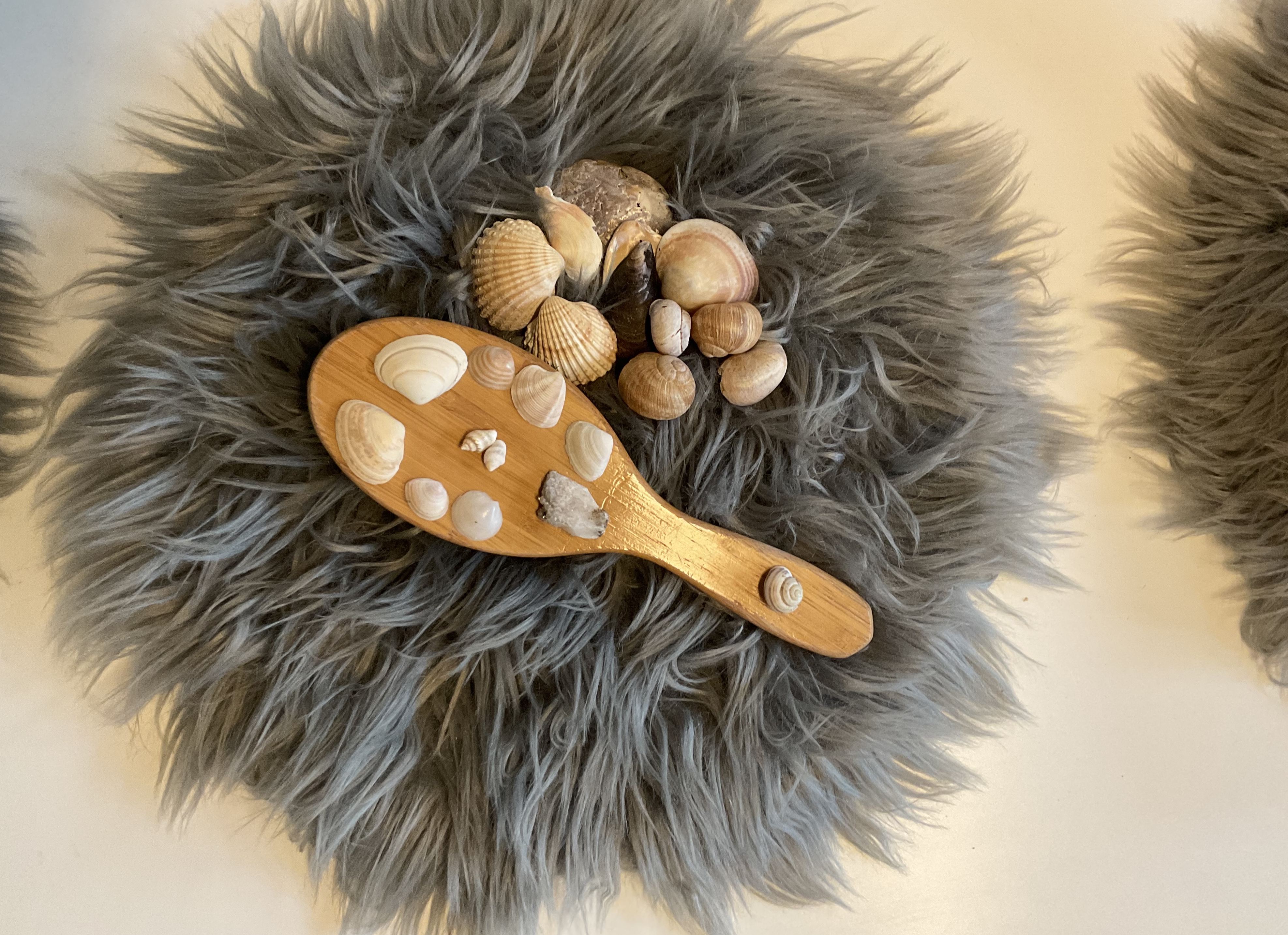 Bild von einer Holzhaarbürste mit Muscheln